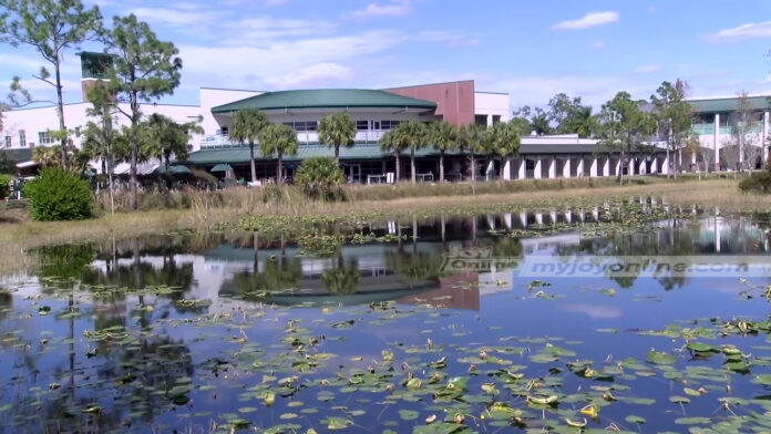 
How some countries are restoring wetlands for improved livelihoods                            