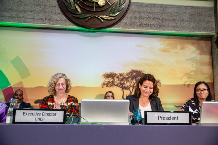 
15 resolutions, 2 decisions and a ministerial declaration agreed at UNEA-6                            