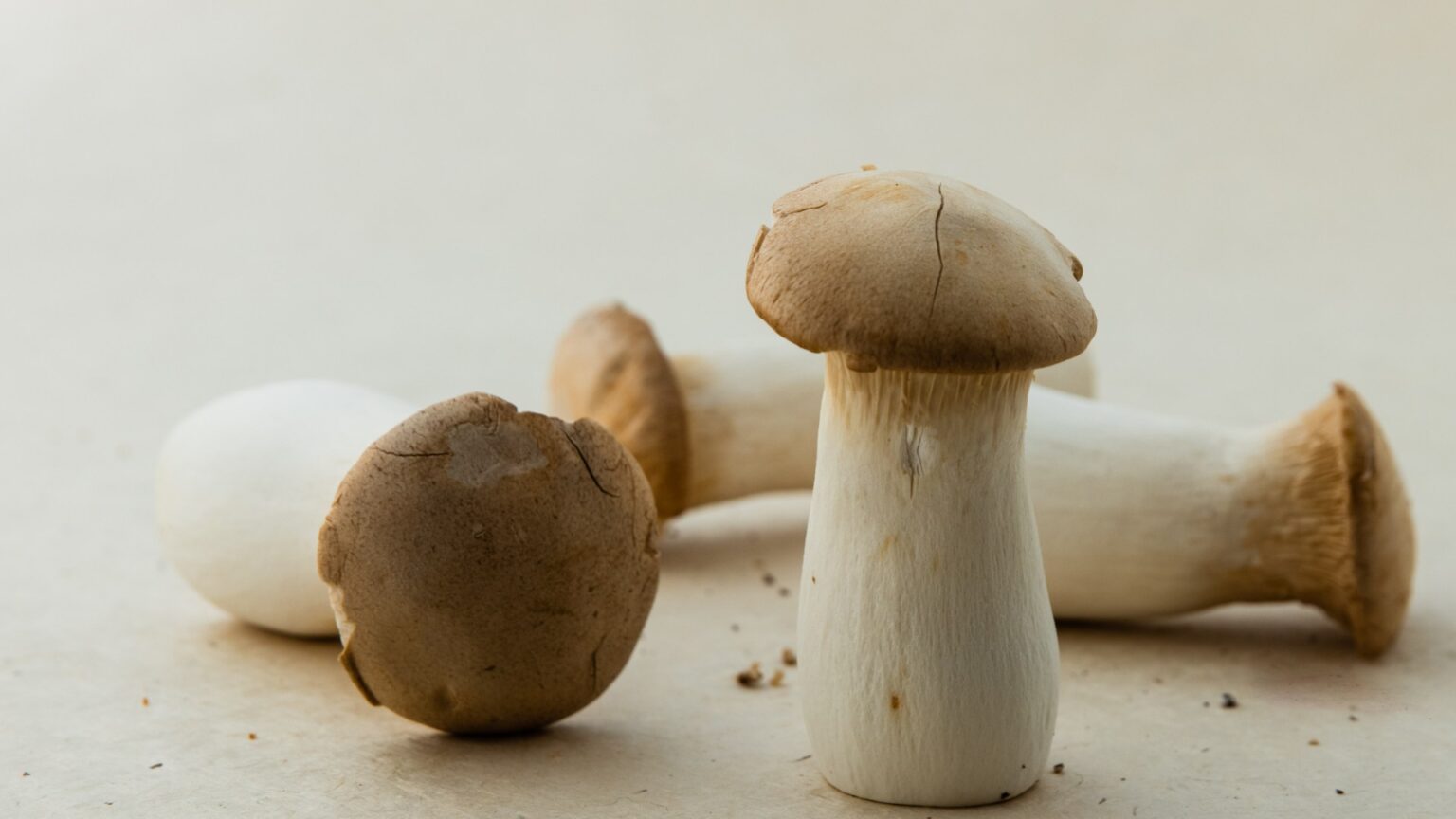 Why is the penis mushroom-shaped? Scientists explain | iGhanaian.com