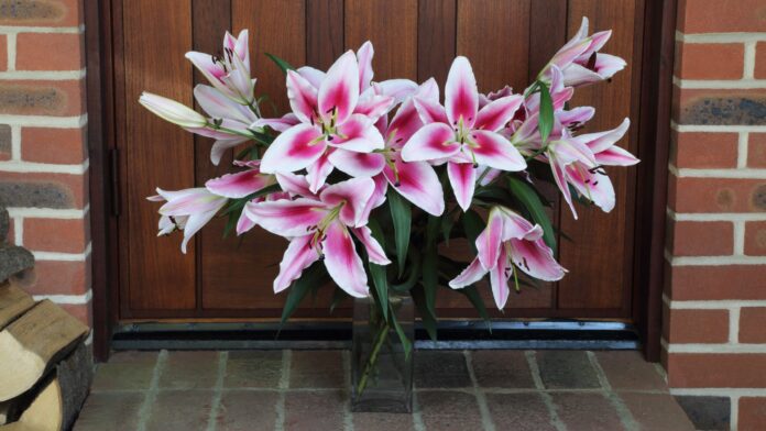 How to remove lily pollen stains from clothes and carpets