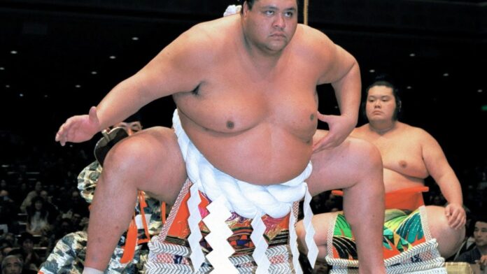 STAR GONE Everything to know about Akebono Taro's wife ChristianeSUMO wrestler legend and 11-time grand tournament winner Akebono Taro has died leaving WWE fans devastated. His wife of more than two decades, Christiane Reiko Kalina, announced the star's passing in a heartfelt message in April 2024.