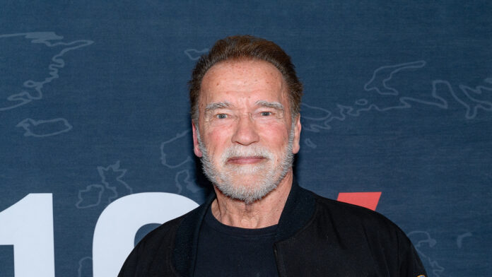 What happened in the Arnold Schwarzenegger car accident What happened in the Arnold Schwarzenegger car accident?