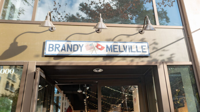 What is Brandy Melville and who founded the company?