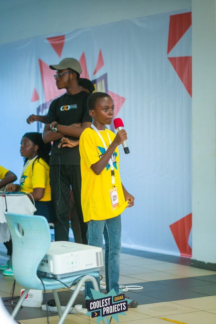 Meet the 10-year-old developer who created poultry farm management system