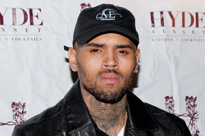 Chris Brown concert shines spotlight on violence against women in 
Chris Brown concert shines spotlight on violence against women in South Africa