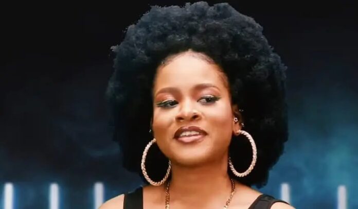 I was denied entry into a restaurant due to my I was denied entry into a restaurant due to my choice of outfit – BBNaija star Phyna