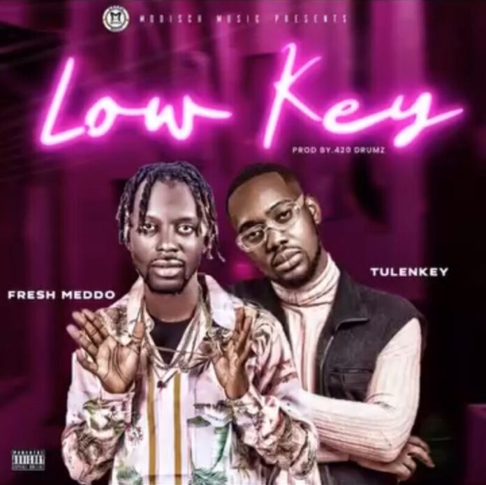 
Low key, big wave: Fresh Meddo & Tulenkey take Ghanaian music by storm                            