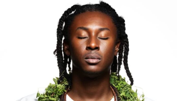 Ghanaian artist, Kwame Akoto-Bamfo revives endangered art forms at Nkyinkyim Museum